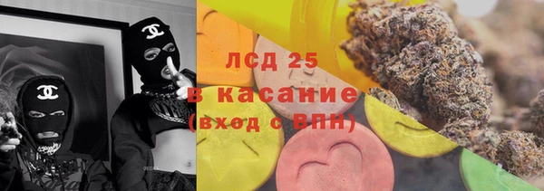 ПСИЛОЦИБИНОВЫЕ ГРИБЫ Абаза