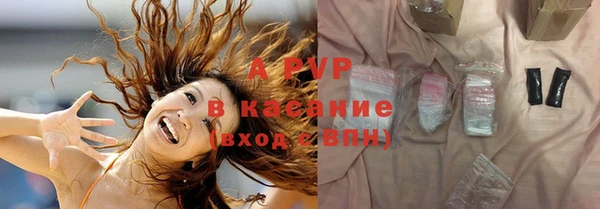 ПСИЛОЦИБИНОВЫЕ ГРИБЫ Абаза