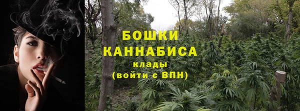 ПСИЛОЦИБИНОВЫЕ ГРИБЫ Абаза