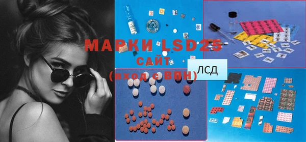 ПСИЛОЦИБИНОВЫЕ ГРИБЫ Абаза
