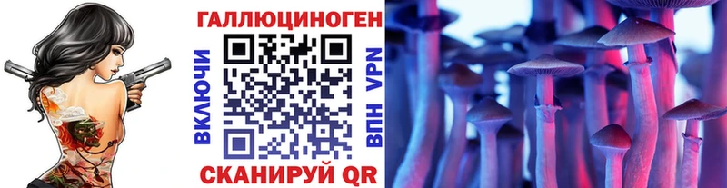 hydra маркетплейс  Чухлома  Псилоцибиновые грибы Cubensis  где можно купить наркотик 